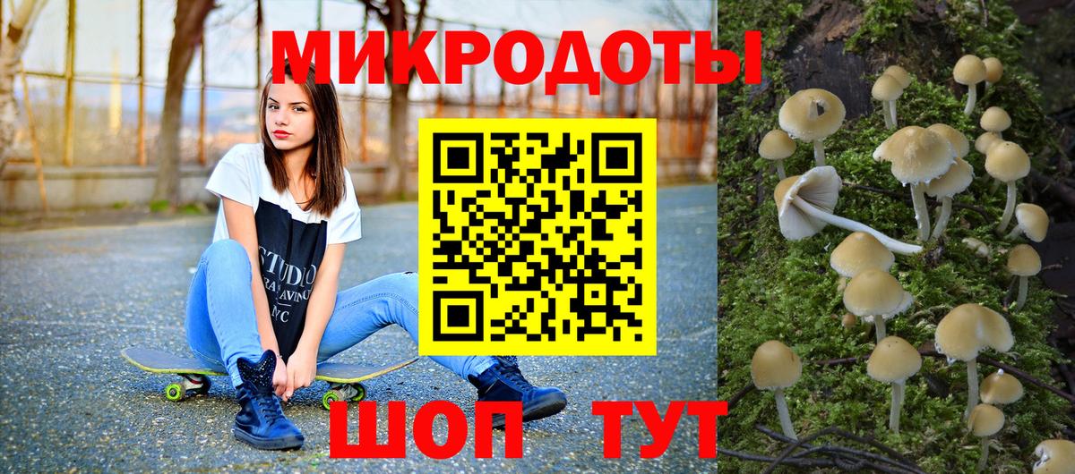 купить наркотики цена  Псилоцибиновые грибы мицелий  Вход с VPN  Серпухов 